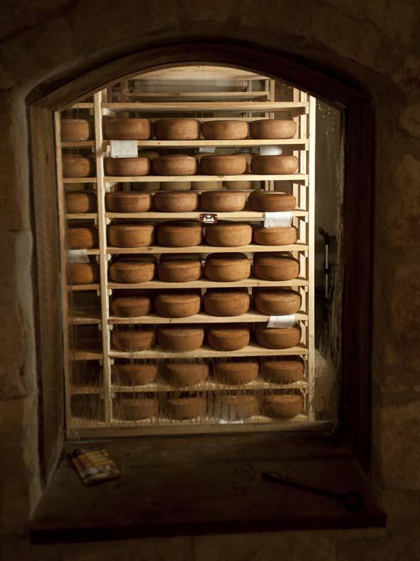 Cheese aging in cheese cave