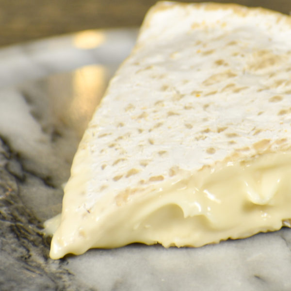 Closeup of brie cheese
