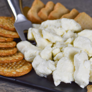 Plain cheese curds - closeup